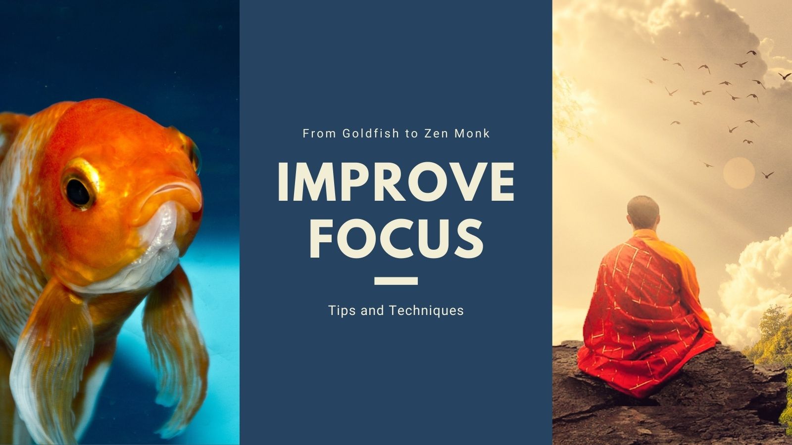 How to improve focus